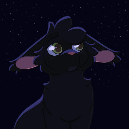 Hollyleaf from Warrior Cats